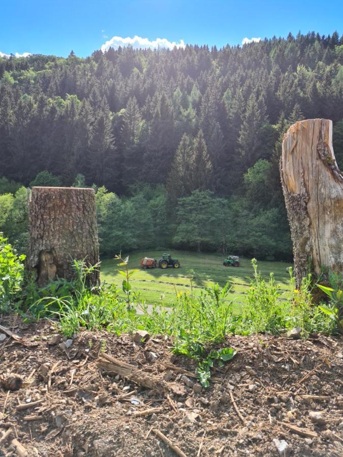 Panoramablick Willingen Schwalefeld Apartment ภายนอก รูปภาพ